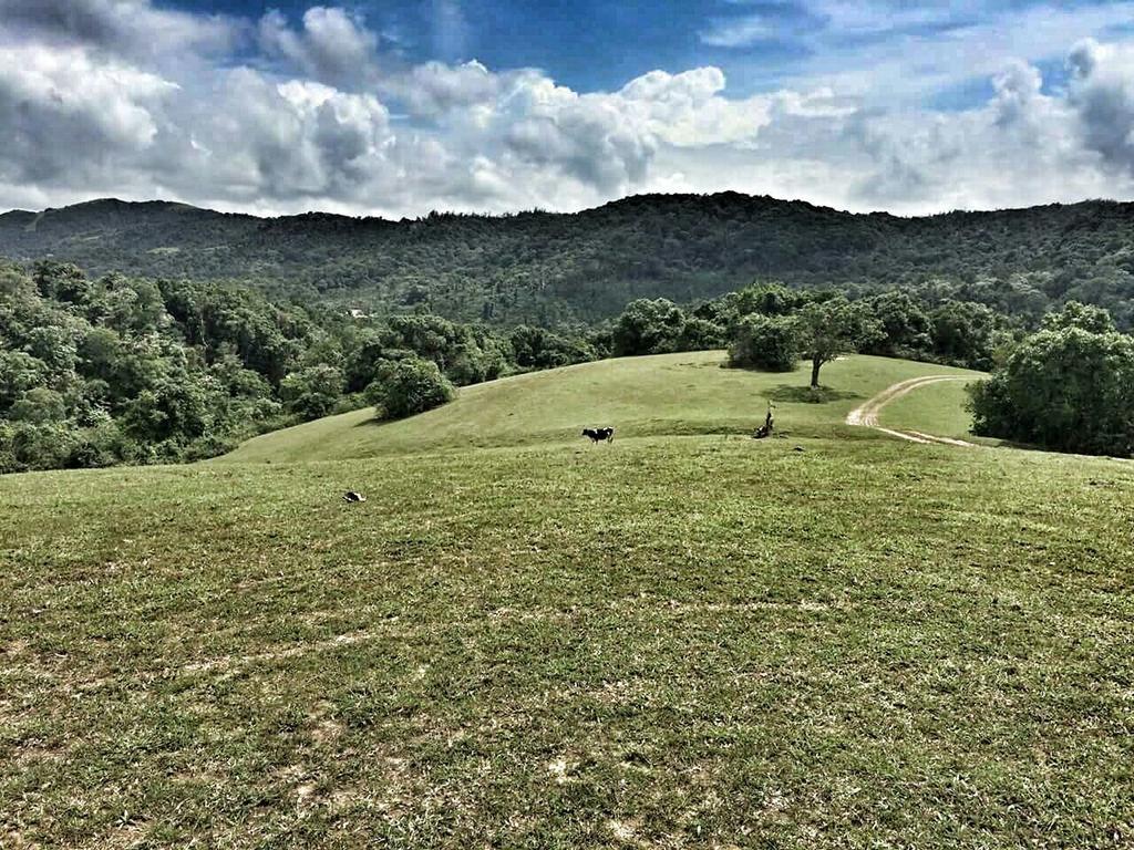 Aadhavana Homestay - Sakleshpur Māranhalli Eksteriør bilde