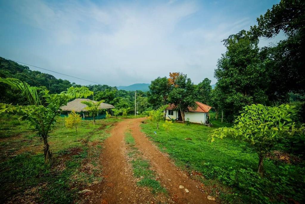 Aadhavana Homestay - Sakleshpur Māranhalli Eksteriør bilde